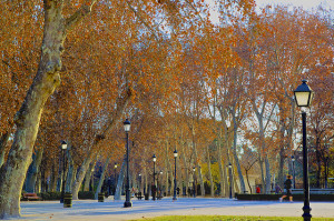 The Parque del Buen Retiro is the most popular park in Madrid