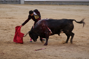 Madrid Bullfighting