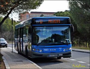 Bus Madrid