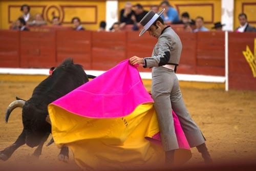 Torero bullfighting in Madrid