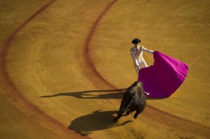 A matador in the ring