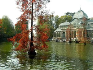 Retiro Park in Autumn